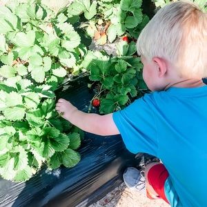 Meet your Posher, Allie